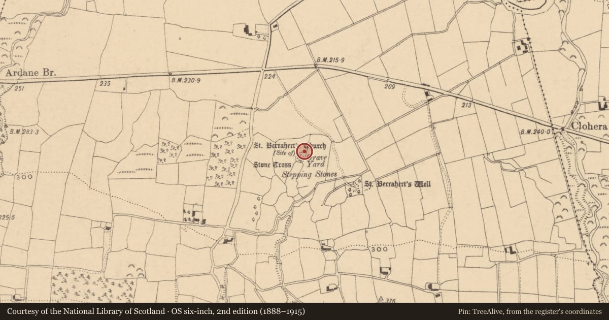 Ordnance Survey six-inch map, 2nd edition (1888–1915) covering the location of Cross-slab, Ardane, County Tipperary South, with a pin at the register's coordinates