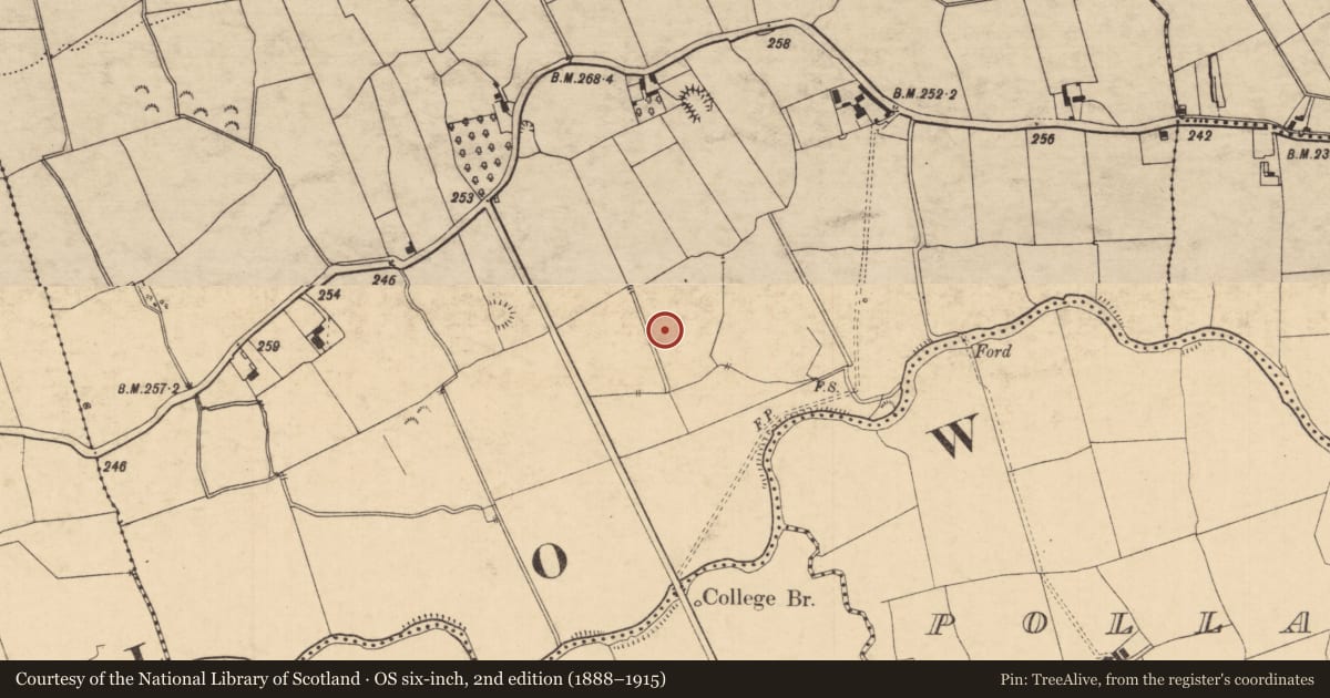 Ordnance Survey six-inch map, 2nd edition (1888–1915) covering the location of Enclosure, Lisnagaul, County Tipperary South, with a pin at the register's coordinates