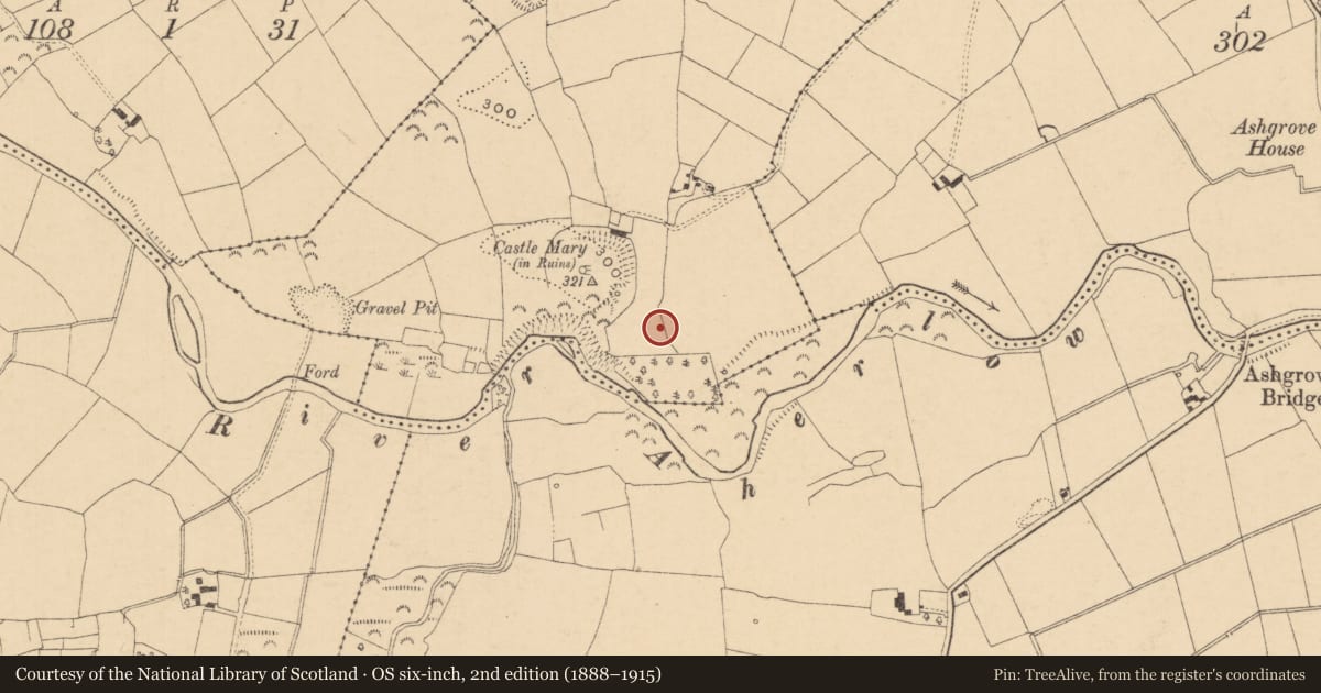 Ordnance Survey six-inch map, 2nd edition (1888–1915) covering the location of Enclosure, Clashoquirk, County Tipperary South, with a pin at the register's coordinates