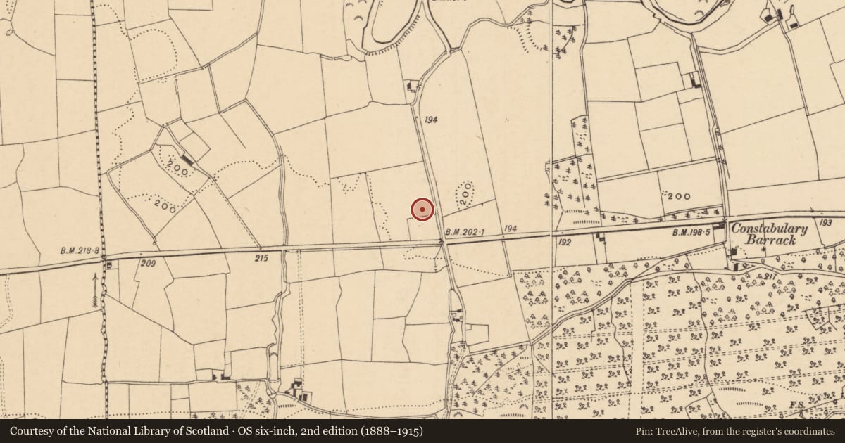 Ordnance Survey six-inch map, 2nd edition (1888–1915) covering the location of Enclosure, Ballydavid (Templeneiry Par.), County Tipperary South, with a pin at the register's coordinates