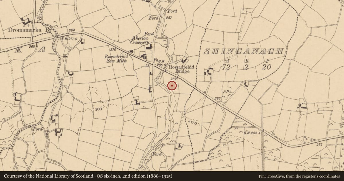 Ordnance Survey six-inch map, 2nd edition (1888–1915) covering the location of Standing stone, Rossadrehid, County Tipperary South, with a pin at the register's coordinates