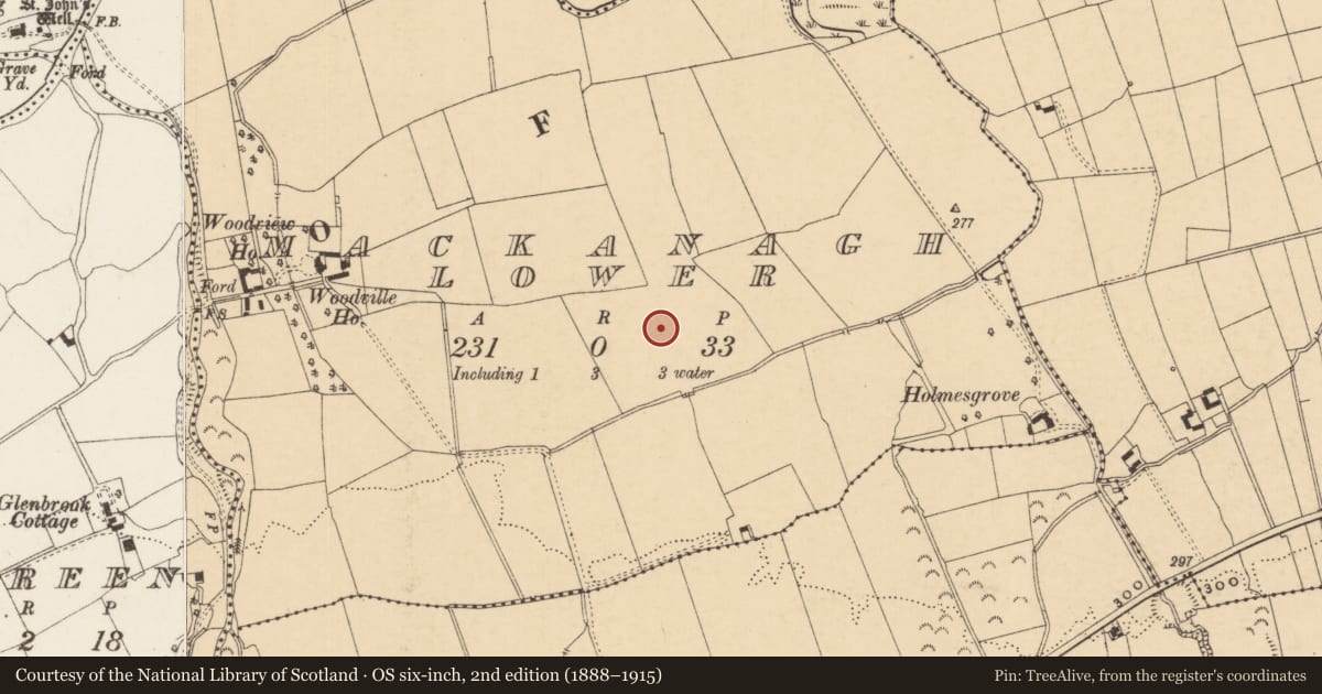 Ordnance Survey six-inch map, 2nd edition (1888–1915) covering the location of Enclosure - large enclosure, MacKanagh Lower, County Tipperary South, with a pin at the register's coordinates