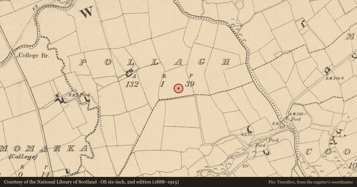 Ordnance Survey six-inch map, 2nd edition (1888–1915) covering the location of Enclosure, Pollagh (Templeneiry Par.), County Tipperary South, with a pin at the register's coordinates