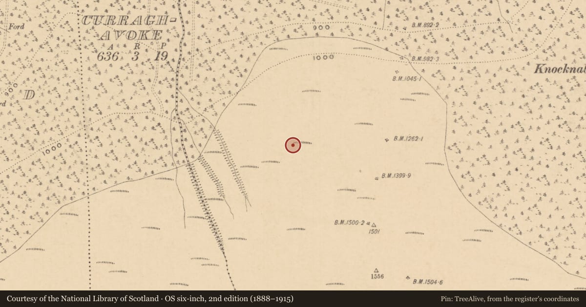 Ordnance Survey six-inch map, 2nd edition (1888–1915) covering the location of Hut site, Ardane, County Tipperary South, with a pin at the register's coordinates