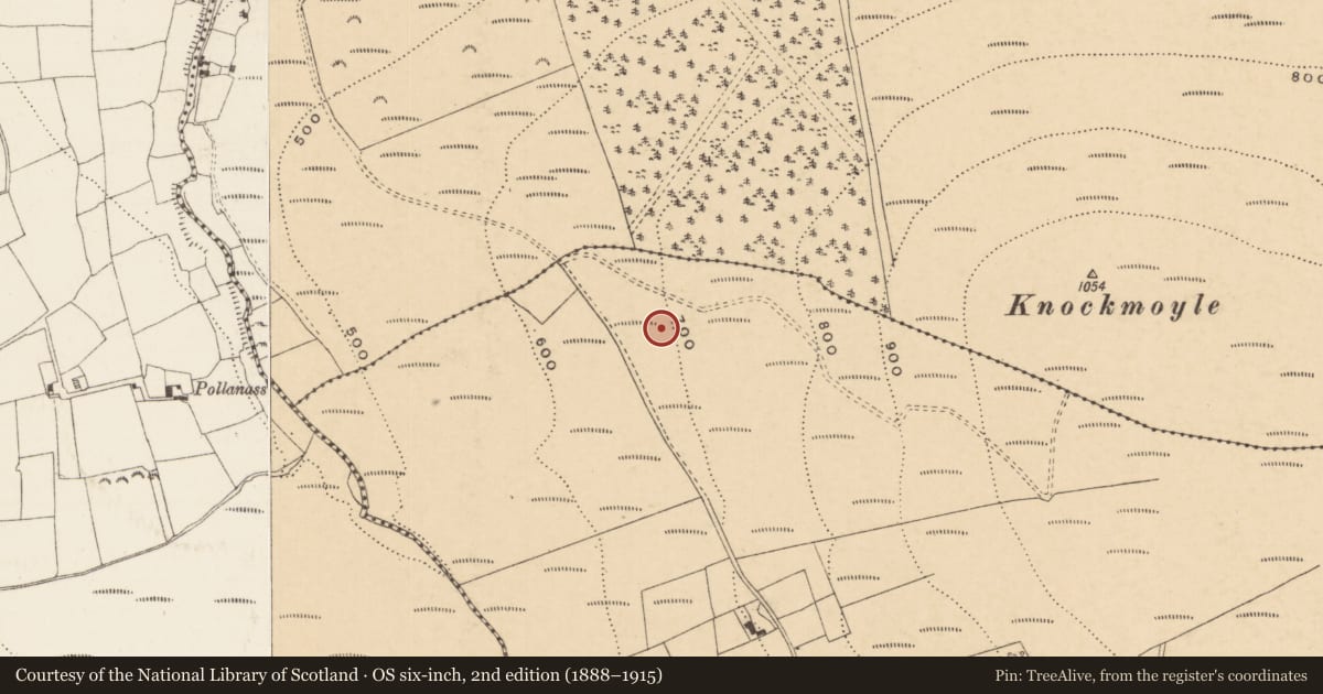 Ordnance Survey six-inch map, 2nd edition (1888–1915) covering the location of Hut site, Glencoshabinnia, County Tipperary South, with a pin at the register's coordinates