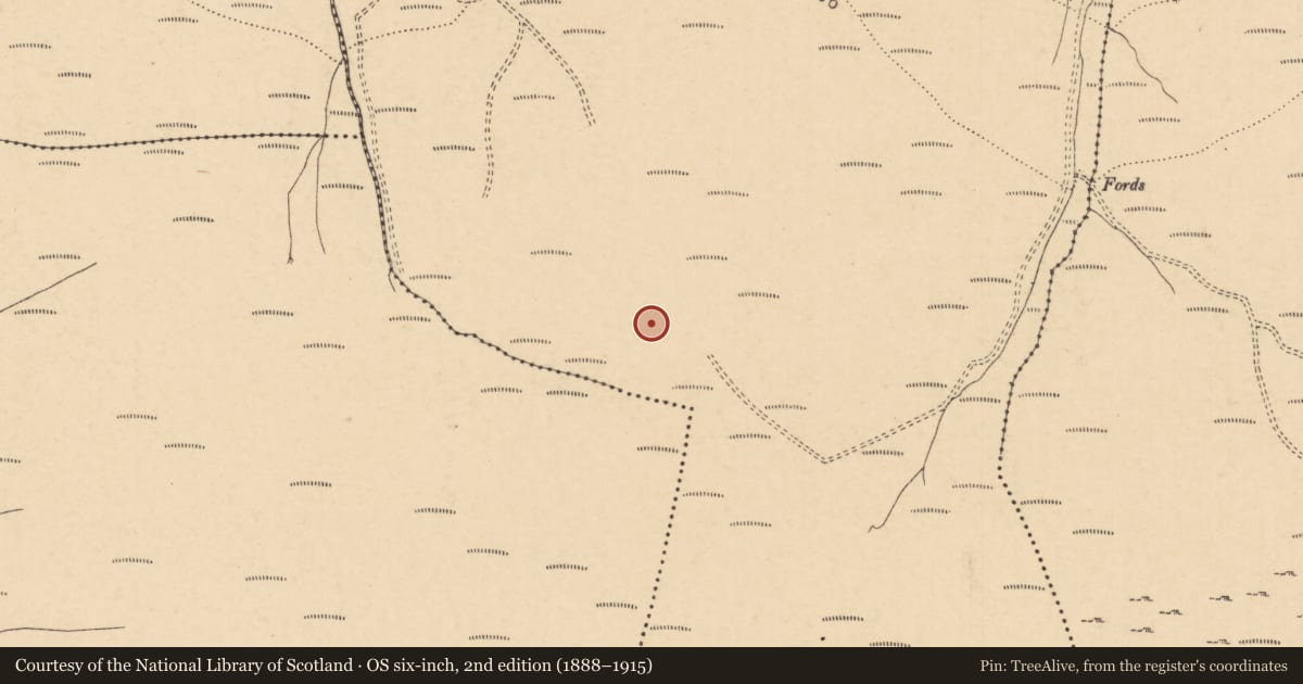 Ordnance Survey six-inch map, 2nd edition (1888–1915) covering the location of Hut site, Stonepark (Clonbeg Par.), County Tipperary South, with a pin at the register's coordinates