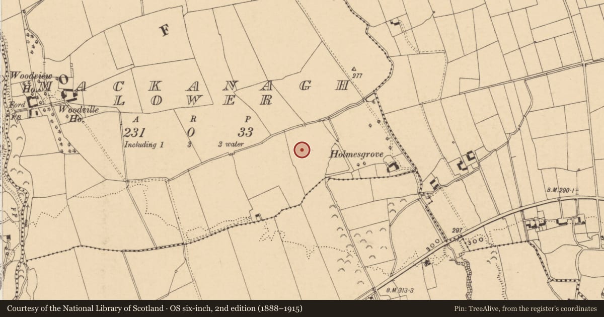Ordnance Survey six-inch map, 2nd edition (1888–1915) covering the location of Enclosure - large enclosure, MacKanagh Lower, County Tipperary South, with a pin at the register's coordinates