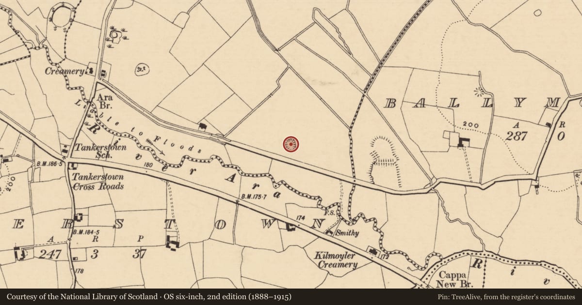 Ordnance Survey six-inch map, 2nd edition (1888–1915) covering the location of Ringfort - rath, Ballygorteen (Clonbullogue Par.), County Tipperary South, with a pin at the register's coordinates