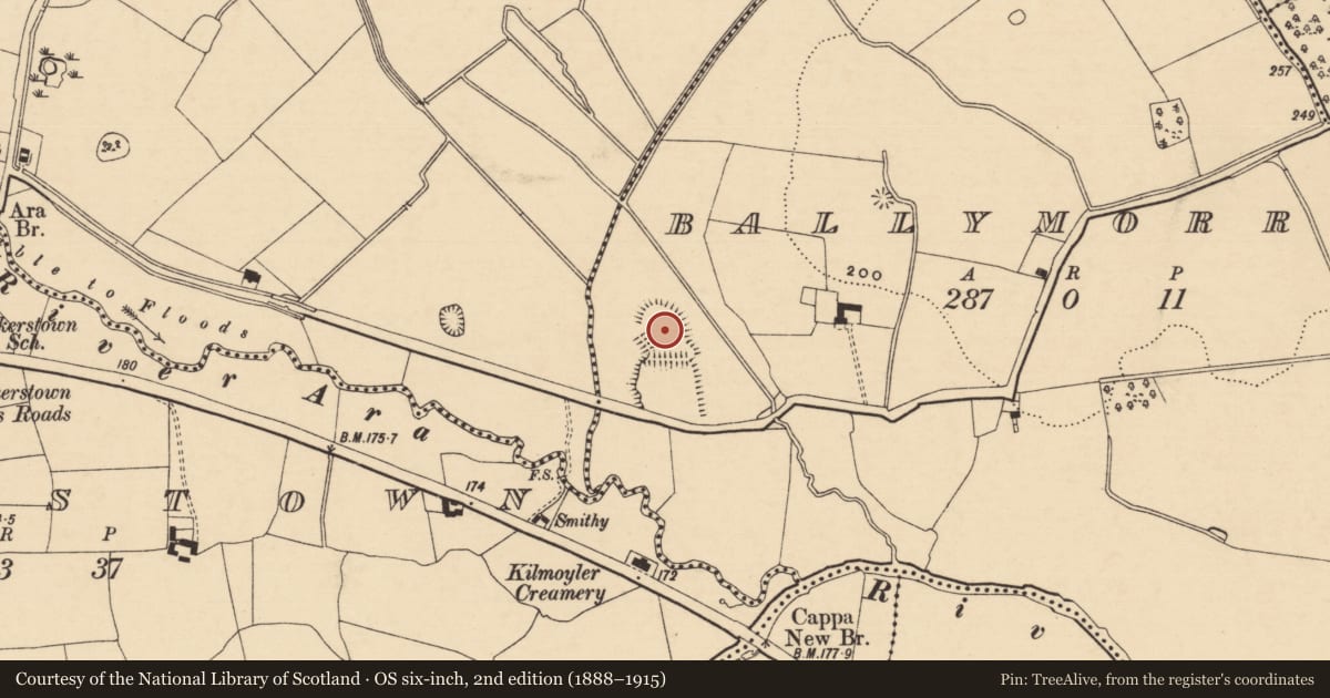 Ordnance Survey six-inch map, 2nd edition (1888–1915) covering the location of Enclosure, Ballymorris (Killardry Par.), County Tipperary South, with a pin at the register's coordinates