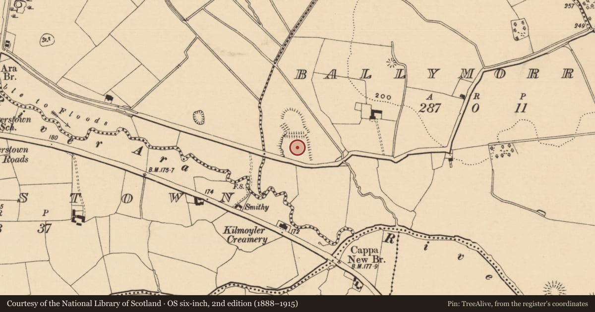 Ordnance Survey six-inch map, 2nd edition (1888–1915) covering the location of Enclosure, Ballymorris (Killardry Par.), County Tipperary South, with a pin at the register's coordinates