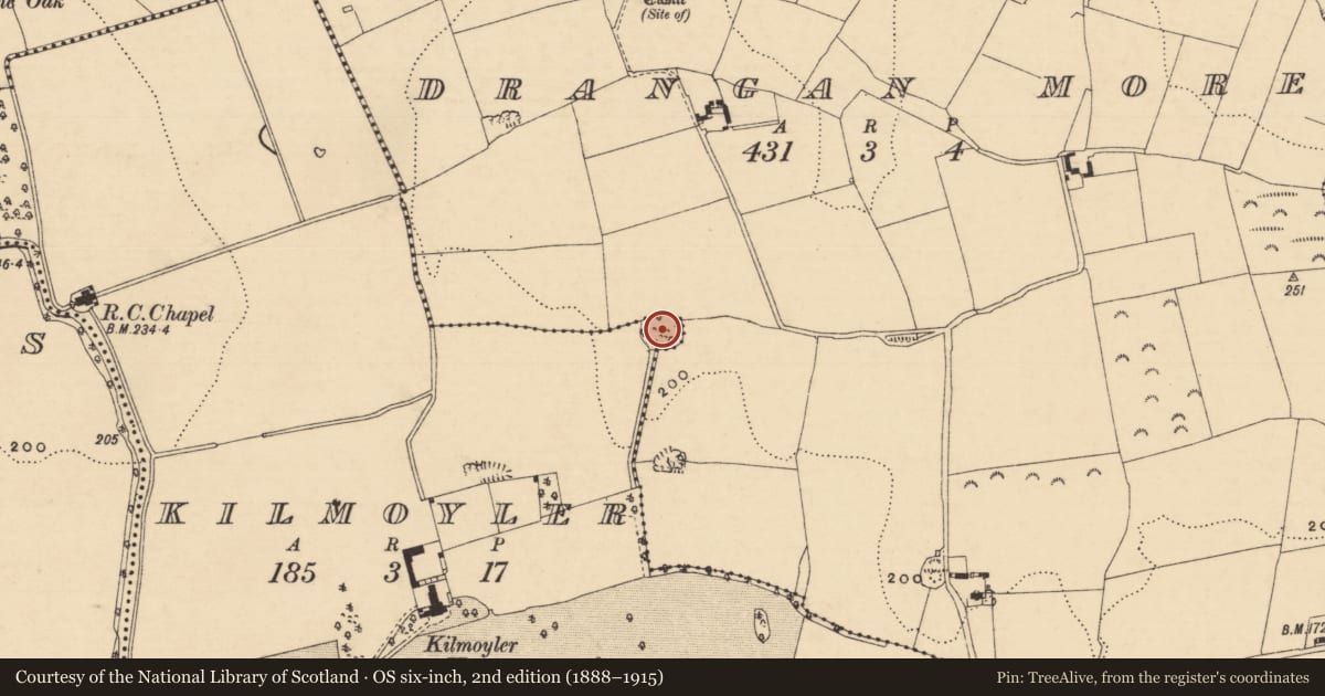 Ordnance Survey six-inch map, 2nd edition (1888–1915) covering the location of Enclosure, Drangan More, Kilmoyler, County Tipperary South, with a pin at the register's coordinates