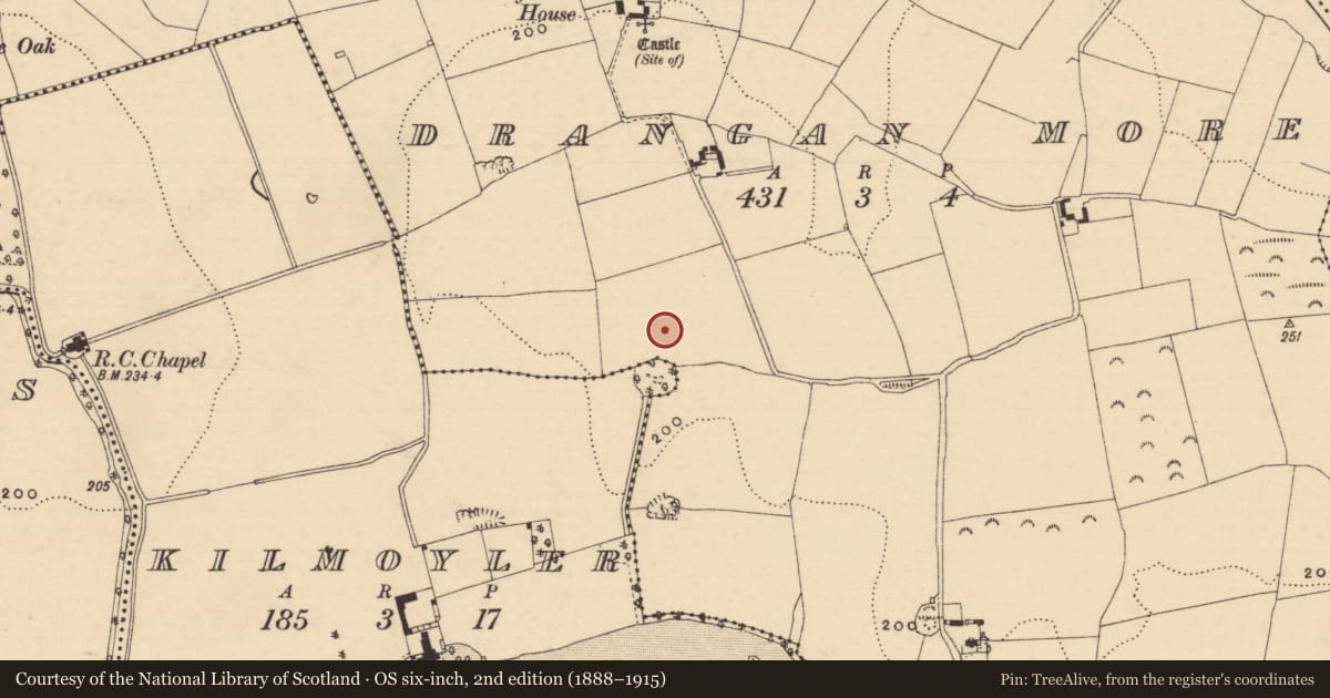 Ordnance Survey six-inch map, 2nd edition (1888–1915) covering the location of Enclosure, Drangan More, County Tipperary South, with a pin at the register's coordinates