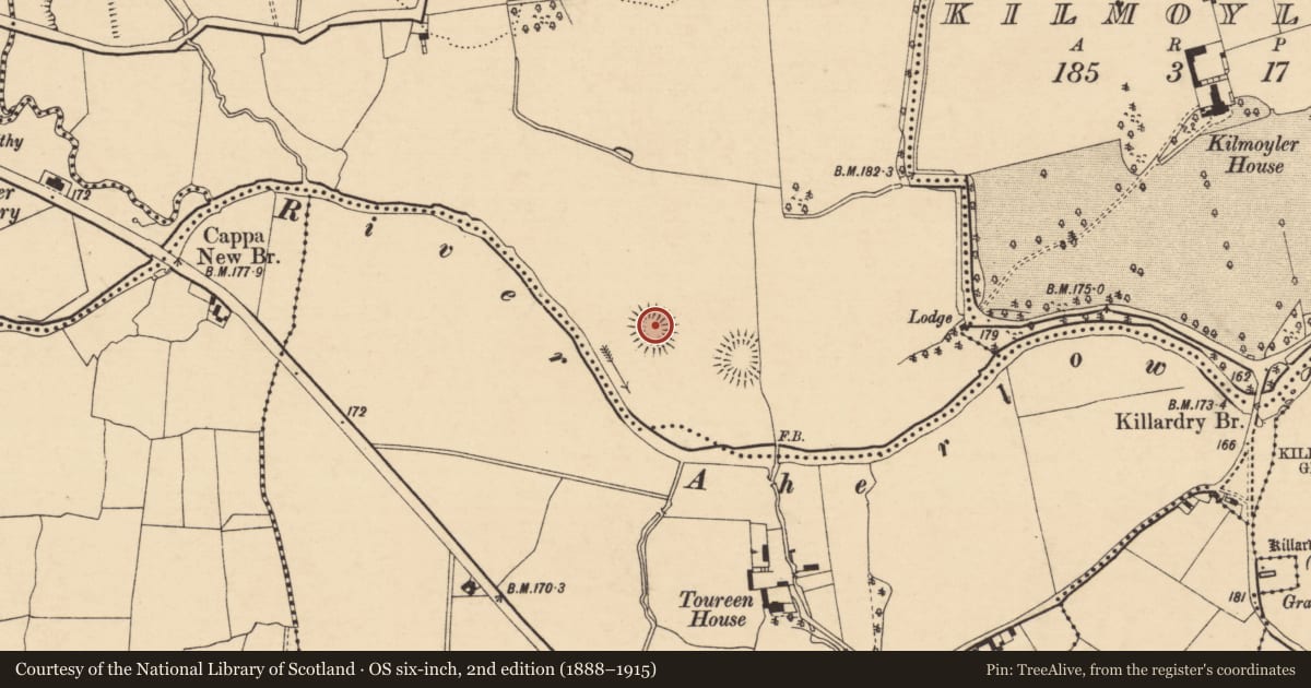 Ordnance Survey six-inch map, 2nd edition (1888–1915) covering the location of Ringfort - rath, Ballymorris (Killardry Par.), County Tipperary South, with a pin at the register's coordinates
