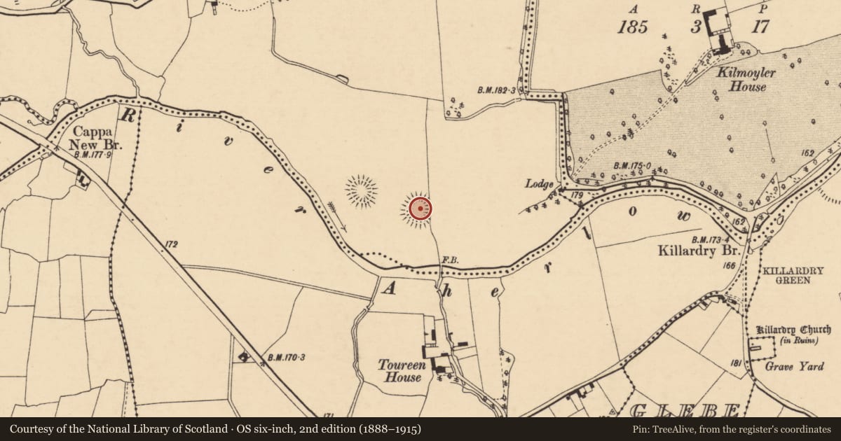 Ordnance Survey six-inch map, 2nd edition (1888–1915) covering the location of Ringfort - rath, Ballymorris (Killardry Par.), County Tipperary South, with a pin at the register's coordinates
