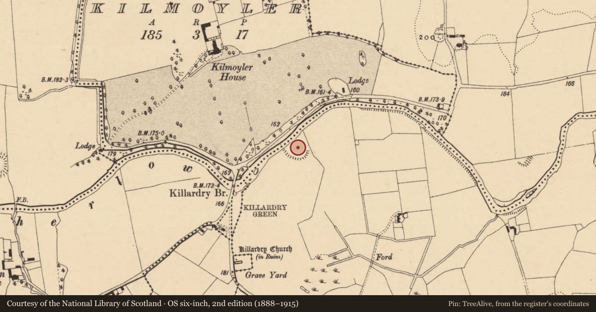 Ordnance Survey six-inch map, 2nd edition (1888–1915) covering the location of Enclosure, Ballydrehid, County Tipperary South, with a pin at the register's coordinates