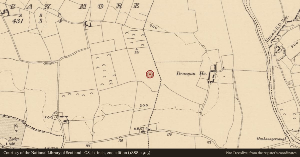 Ordnance Survey six-inch map, 2nd edition (1888–1915) covering the location of Ringfort - rath, Drangan More, County Tipperary South, with a pin at the register's coordinates