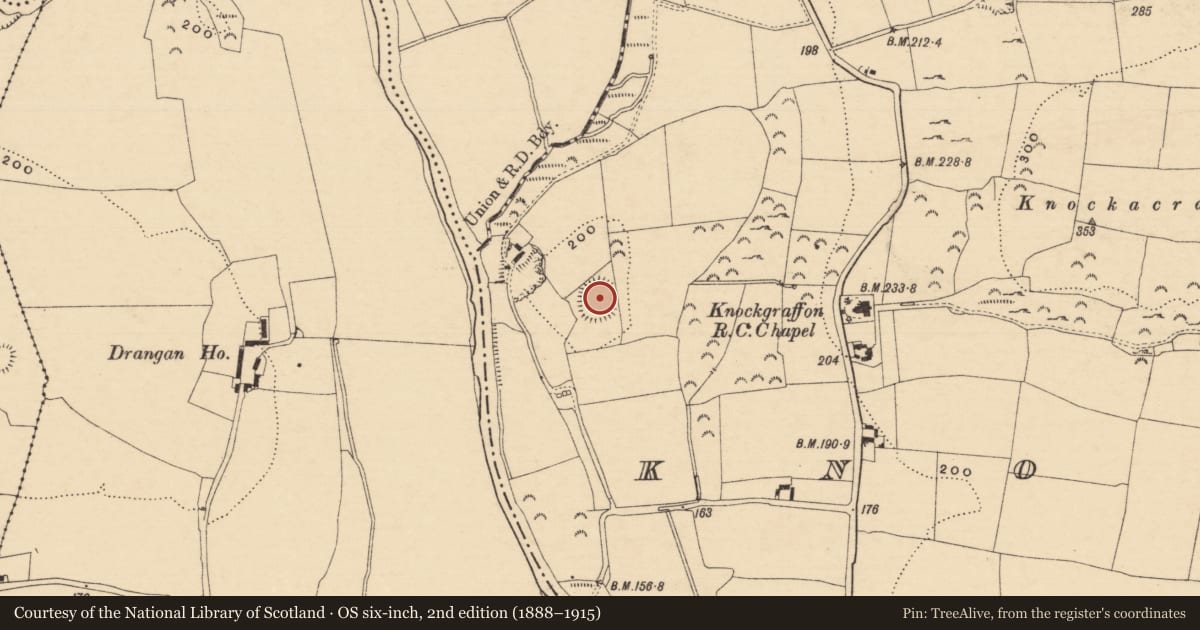 Ordnance Survey six-inch map, 2nd edition (1888–1915) covering the location of Enclosure, Knockgraffon, County Tipperary South, with a pin at the register's coordinates