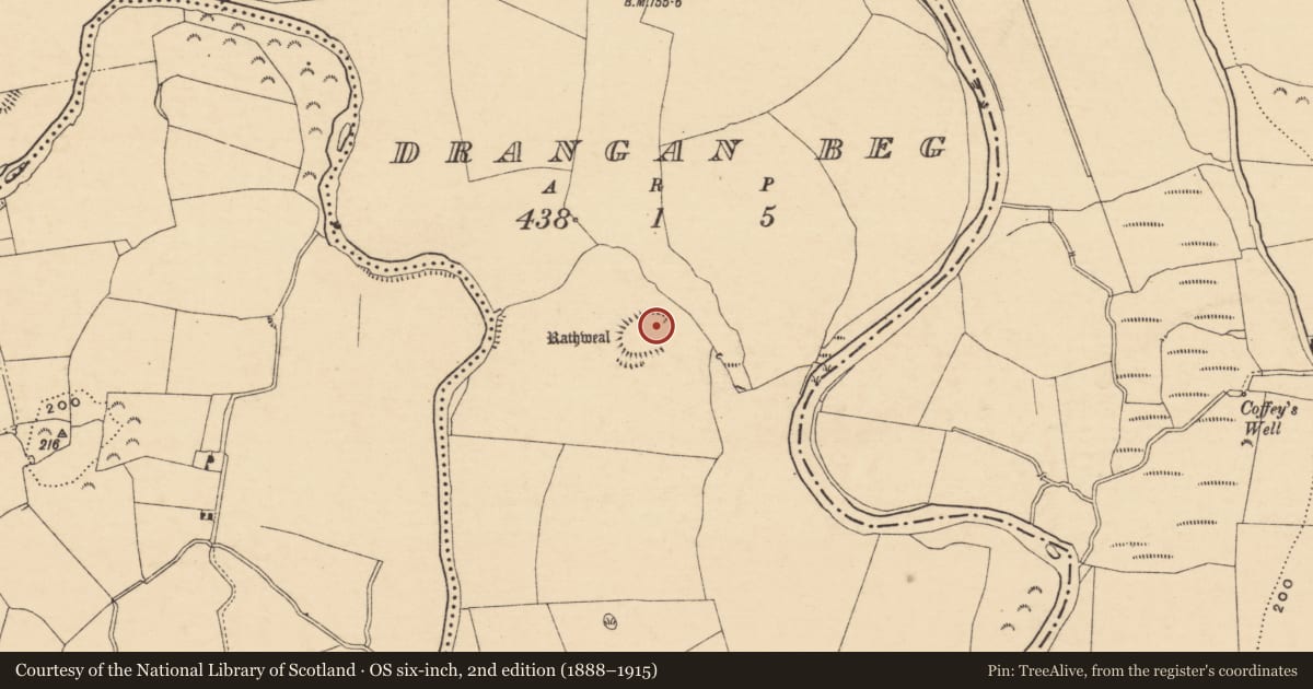Ordnance Survey six-inch map, 2nd edition (1888–1915) covering the location of Castle - ringwork, Drangan Beg, County Tipperary South, with a pin at the register's coordinates