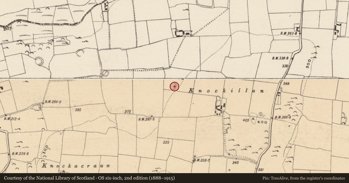 Ordnance Survey six-inch map, 2nd edition (1888–1915) covering the location of Ringfort - rath, Knockgraffon, County Tipperary South, with a pin at the register's coordinates