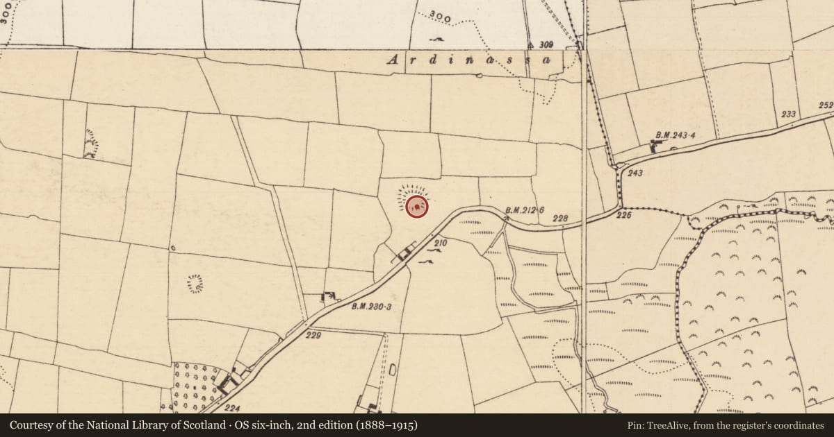 Ordnance Survey six-inch map, 2nd edition (1888–1915) covering the location of Ringfort - rath, Knockgraffon, County Tipperary South, with a pin at the register's coordinates