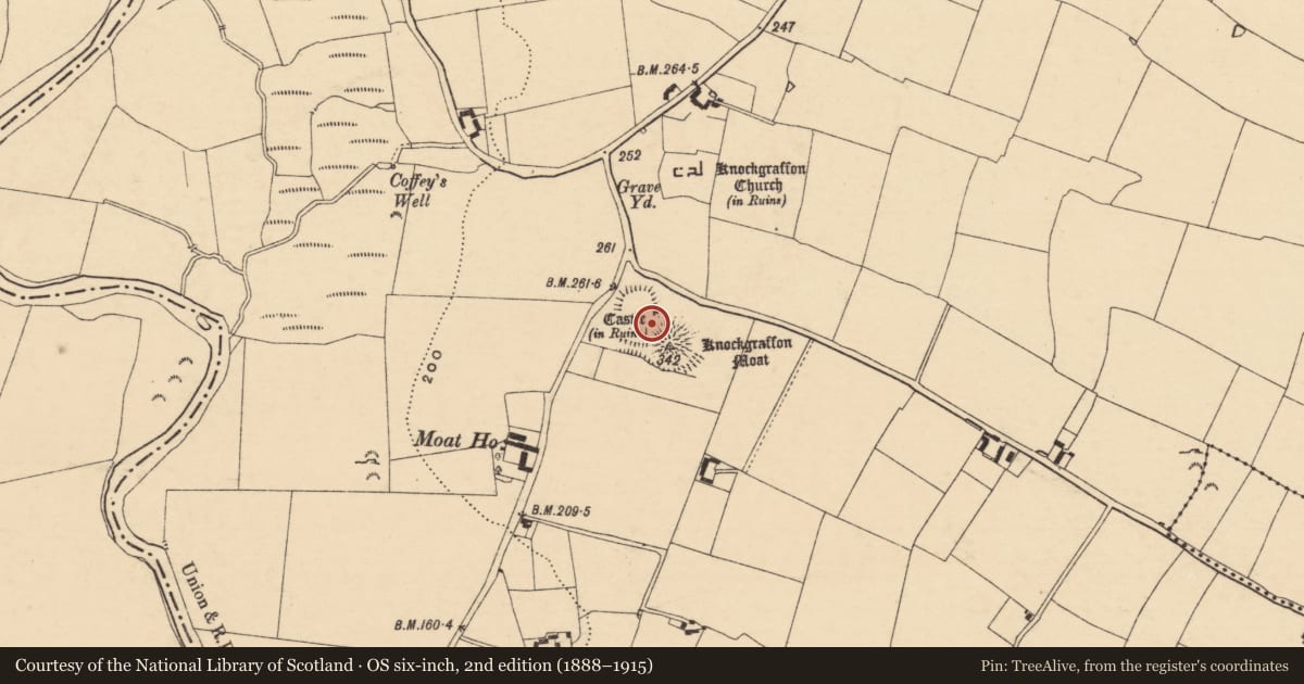 Ordnance Survey six-inch map, 2nd edition (1888–1915) covering the location of Castle - motte and bailey, Knockgraffon, County Tipperary South, with a pin at the register's coordinates