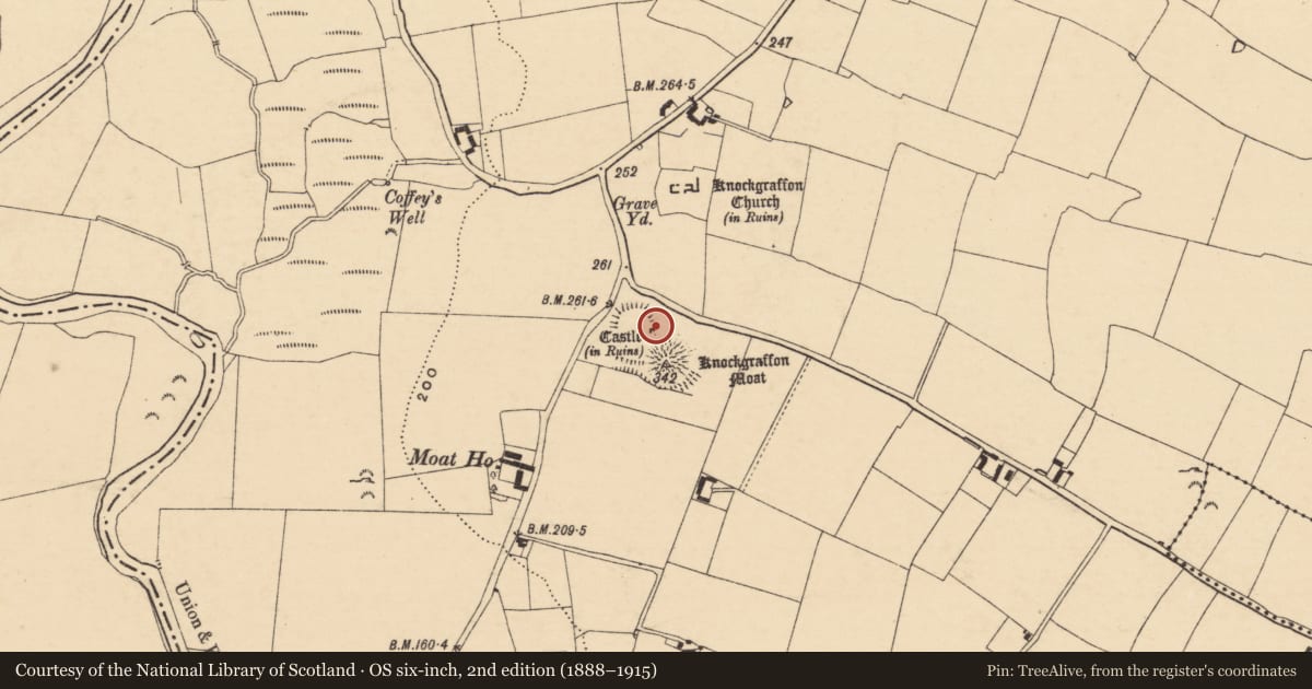 Ordnance Survey six-inch map, 2nd edition (1888–1915) covering the location of Castle - tower house, Knockgraffon, County Tipperary South, with a pin at the register's coordinates