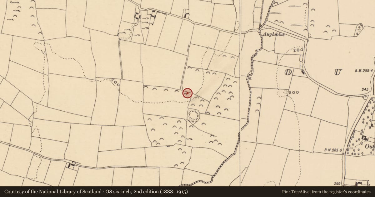 Ordnance Survey six-inch map, 2nd edition (1888–1915) covering the location of Enclosure, Knockgraffon, County Tipperary South, with a pin at the register's coordinates