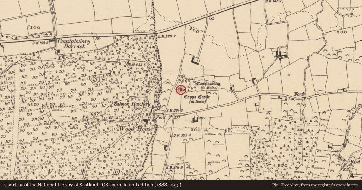 Ordnance Survey six-inch map, 2nd edition (1888–1915) covering the location of Castle - tower house, Cappauniac (Clonbullogue Par.), County Tipperary South, with a pin at the register's coordinates