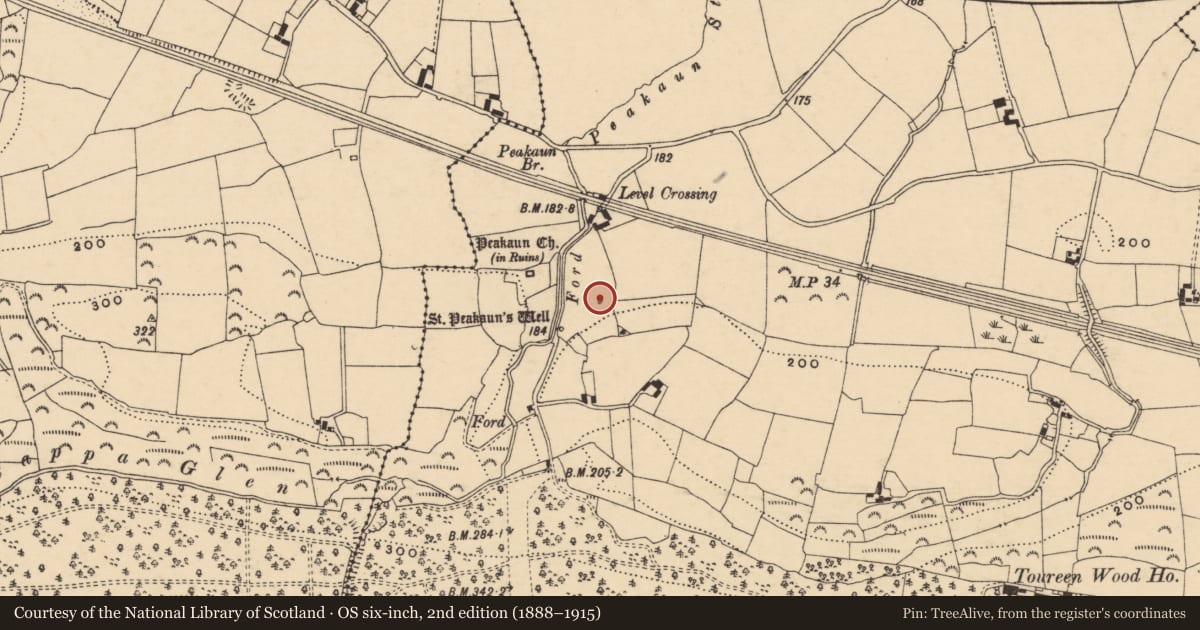 Ordnance Survey six-inch map, 2nd edition (1888–1915) covering the location of Architectural fragment, Toureen, County Tipperary South, with a pin at the register's coordinates