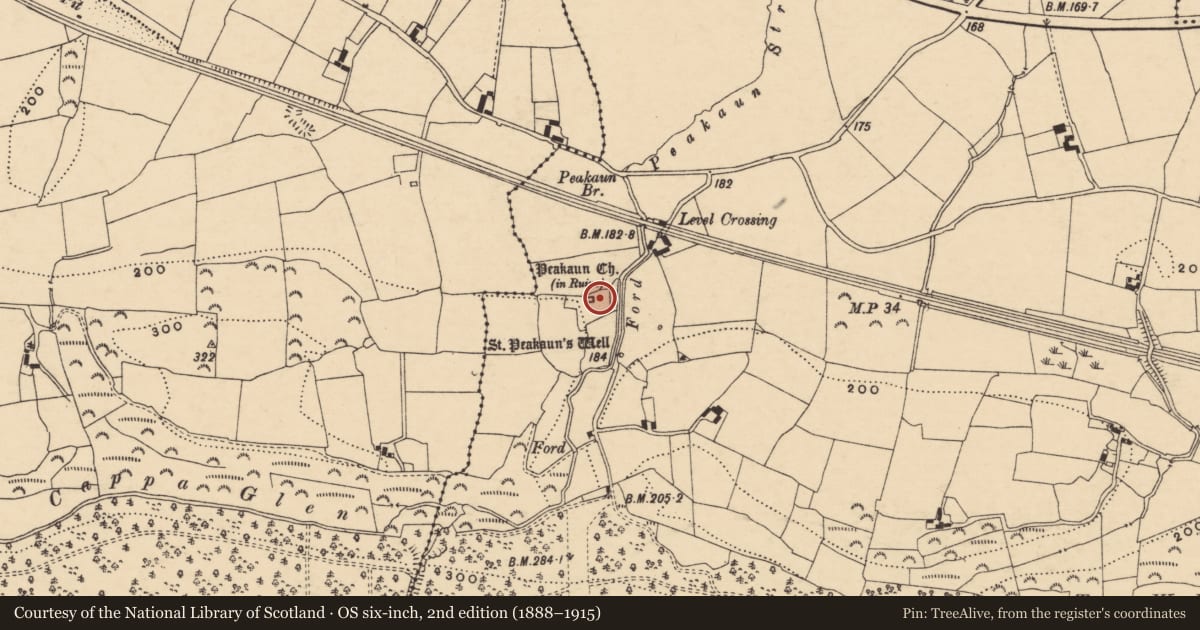 Ordnance Survey six-inch map, 2nd edition (1888–1915) covering the location of Architectural fragment, Toureen, County Tipperary South, with a pin at the register's coordinates