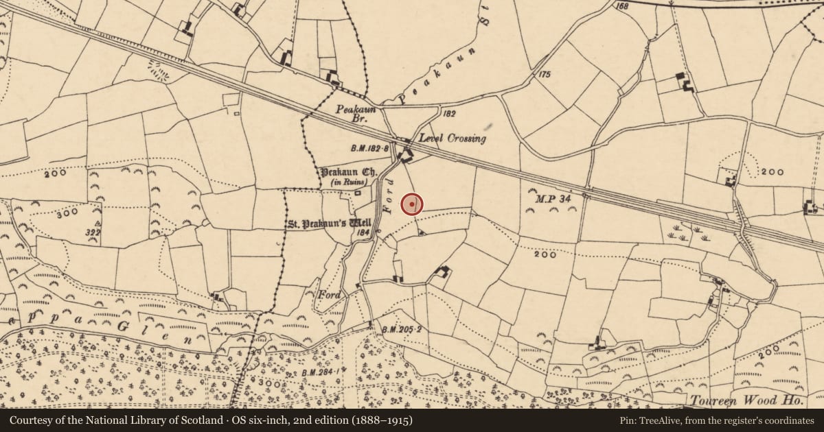 Ordnance Survey six-inch map, 2nd edition (1888–1915) covering the location of Bullaun stone, Toureen, County Tipperary South, with a pin at the register's coordinates