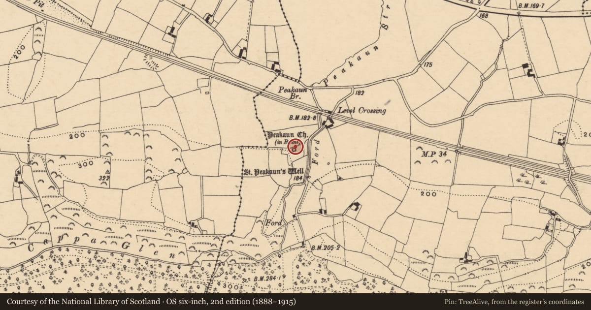 Ordnance Survey six-inch map, 2nd edition (1888–1915) covering the location of Inscribed slab, Toureen, County Tipperary South, with a pin at the register's coordinates