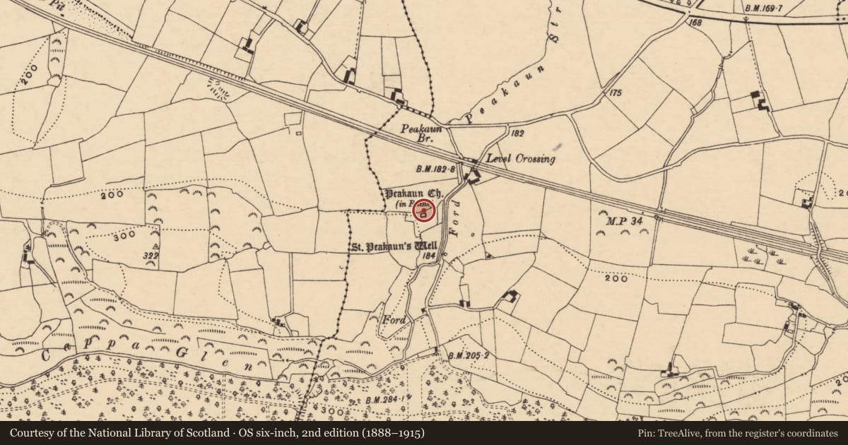 Ordnance Survey six-inch map, 2nd edition (1888–1915) covering the location of Cross-slab, Toureen, County Tipperary South, with a pin at the register's coordinates