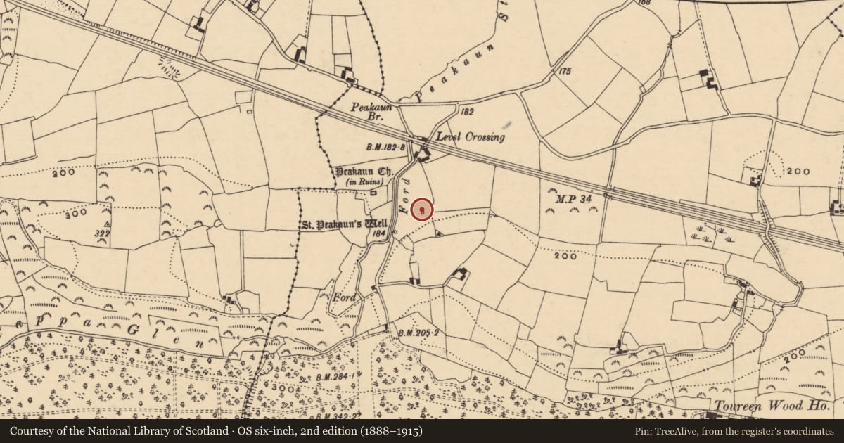 Ordnance Survey six-inch map, 2nd edition (1888–1915) covering the location of Cross-slab, Toureen, County Tipperary South, with a pin at the register's coordinates