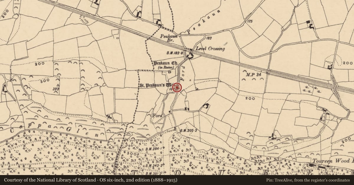 Ordnance Survey six-inch map, 2nd edition (1888–1915) covering the location of Bullaun stone (present location), Toureen, County Tipperary South, with a pin at the register's coordinates
