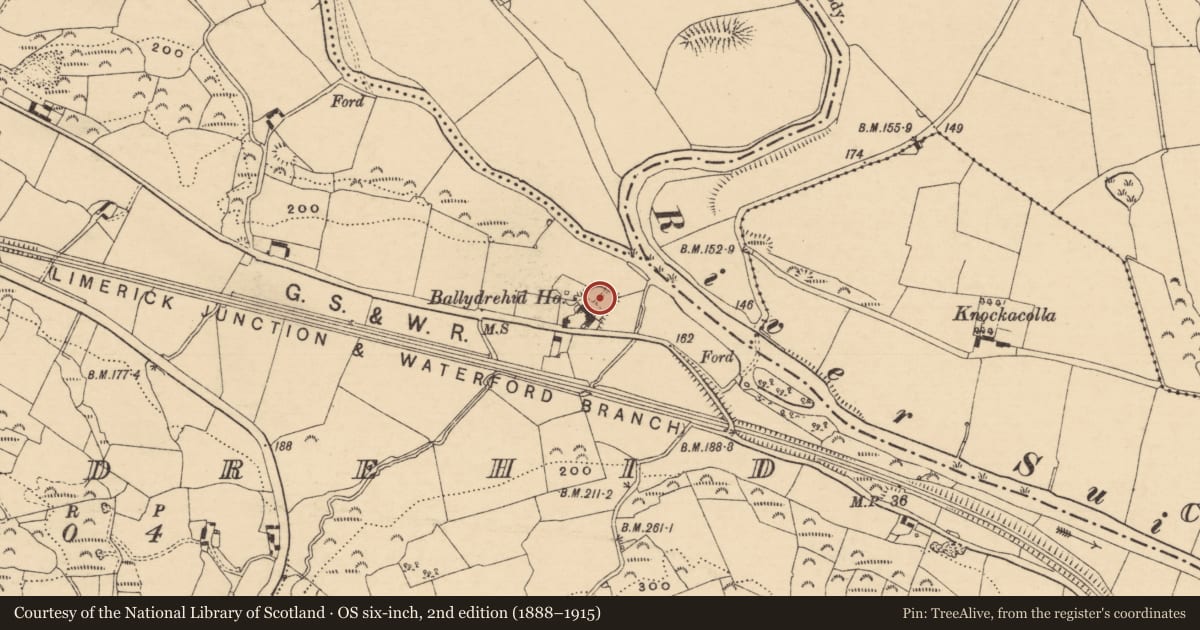 Ordnance Survey six-inch map, 2nd edition (1888–1915) covering the location of Designed landscape feature, Ballydrehid, County Tipperary South, with a pin at the register's coordinates