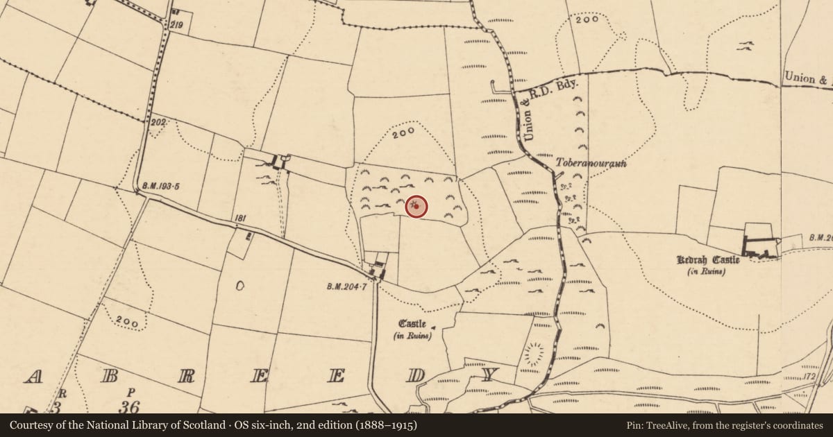 Ordnance Survey six-inch map, 2nd edition (1888–1915) covering the location of Mound, Cloghabreedy, County Tipperary South, with a pin at the register's coordinates