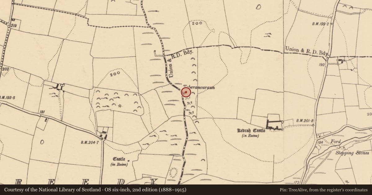 Ordnance Survey six-inch map, 2nd edition (1888–1915) covering the location of Well, Kedrah, County Tipperary South, with a pin at the register's coordinates