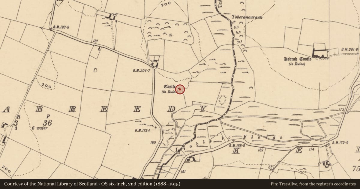Ordnance Survey six-inch map, 2nd edition (1888–1915) covering the location of Castle - tower house, Cloghabreedy, County Tipperary South, with a pin at the register's coordinates