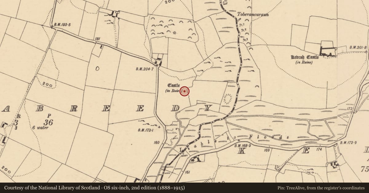 Ordnance Survey six-inch map, 2nd edition (1888–1915) covering the location of Bawn, Cloghabreedy, County Tipperary South, with a pin at the register's coordinates