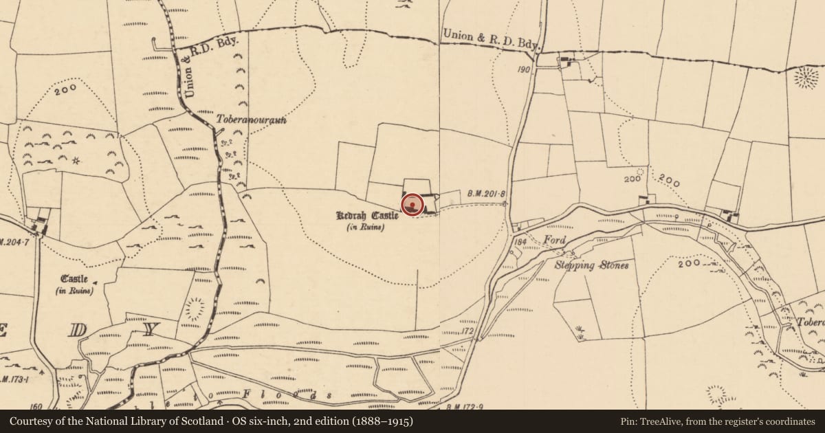 Ordnance Survey six-inch map, 2nd edition (1888–1915) covering the location of Bawn, Kedrah, County Tipperary South, with a pin at the register's coordinates