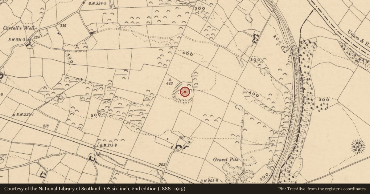 Ordnance Survey six-inch map, 2nd edition (1888–1915) covering the location of Enclosure, Ballydrehid, County Tipperary South, with a pin at the register's coordinates