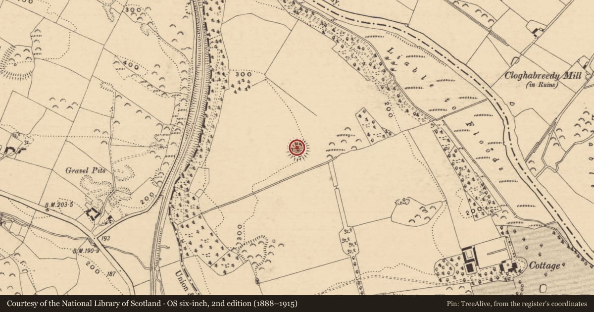 Ordnance Survey six-inch map, 2nd edition (1888–1915) covering the location of Ringfort - rath, Caherabbey Lower, County Tipperary South, with a pin at the register's coordinates
