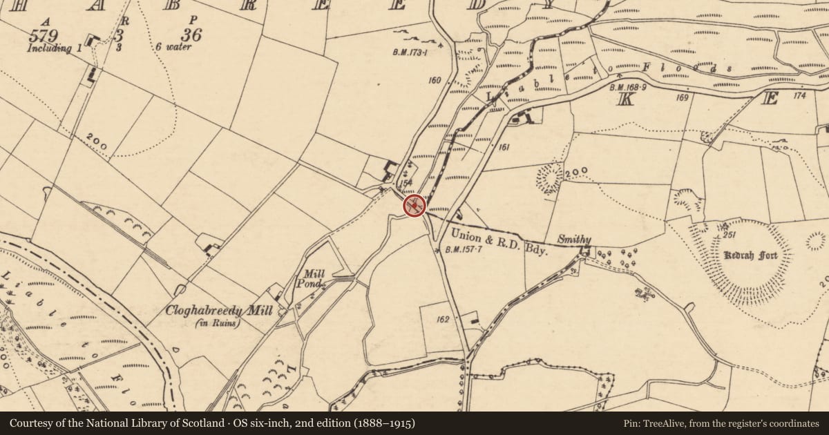 Ordnance Survey six-inch map, 2nd edition (1888–1915) covering the location of Ford, Cloghabreedy, Kedrah, County Tipperary South, with a pin at the register's coordinates