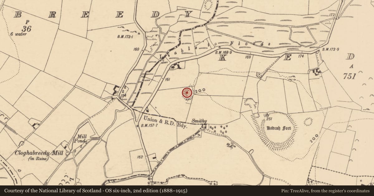 Ordnance Survey six-inch map, 2nd edition (1888–1915) covering the location of Earthwork, Kedrah, County Tipperary South, with a pin at the register's coordinates