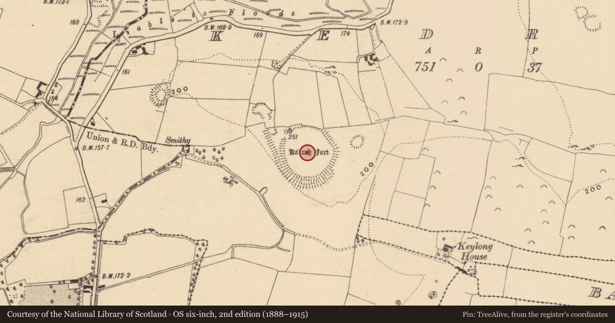 Ordnance Survey six-inch map, 2nd edition (1888–1915) covering the location of Henge, Kedrah, County Tipperary South, with a pin at the register's coordinates