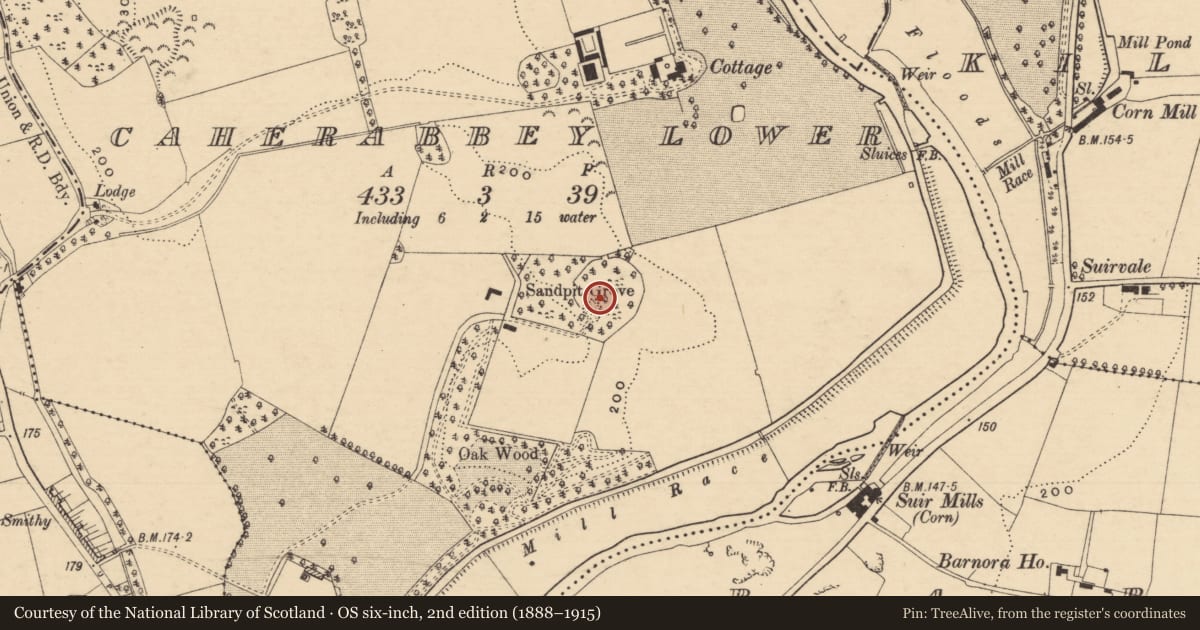 Ordnance Survey six-inch map, 2nd edition (1888–1915) covering the location of Burial ground, Caherabbey Lower, County Tipperary South, with a pin at the register's coordinates