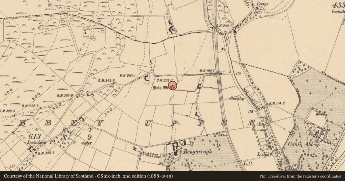 Ordnance Survey six-inch map, 2nd edition (1888–1915) covering the location of Ritual site - holy well, Caherabbey Upper, County Tipperary South, with a pin at the register's coordinates