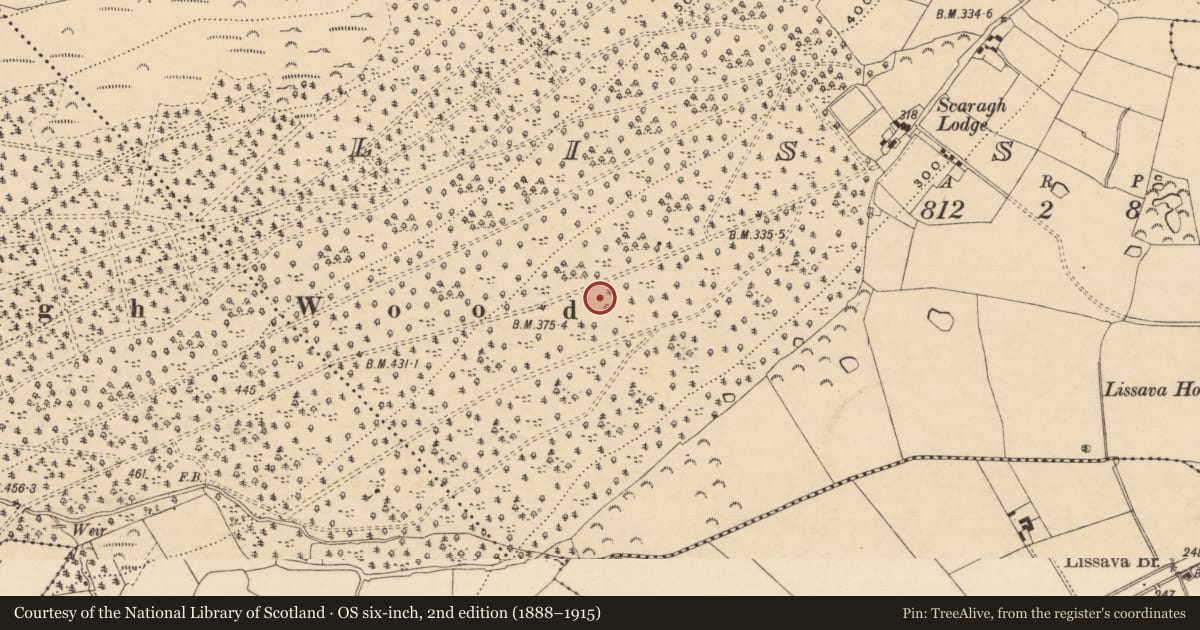 Ordnance Survey six-inch map, 2nd edition (1888–1915) covering the location of Megalithic tomb - portal tomb, Lissava, County Tipperary South, with a pin at the register's coordinates