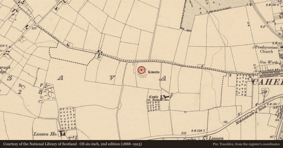 Ordnance Survey six-inch map, 2nd edition (1888–1915) covering the location of Ringfort - rath, Lissava, County Tipperary South, with a pin at the register's coordinates